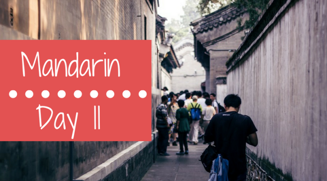 Mandarin Day 8(1)